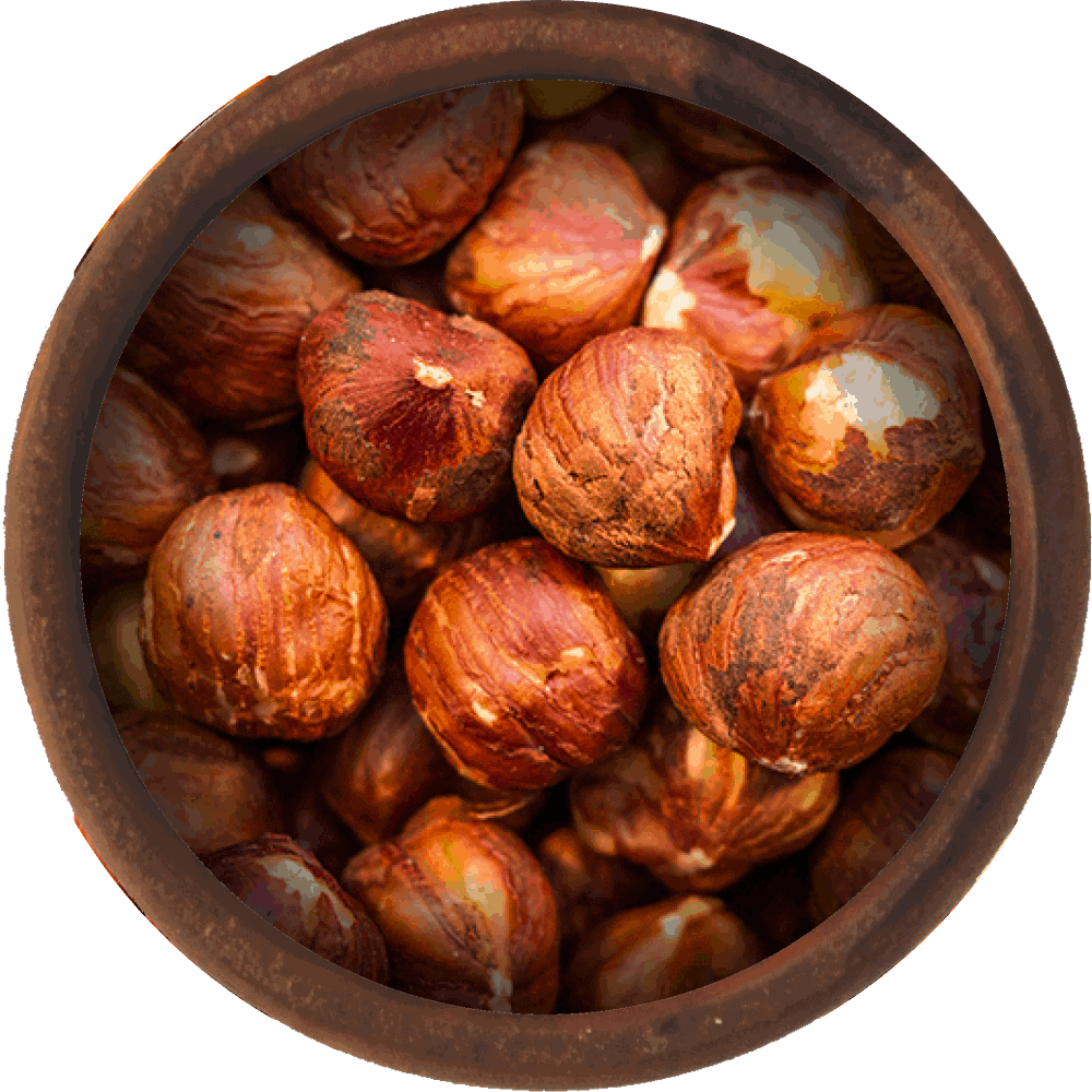Kacang Hazel Mentah / Raw Hazelnut
