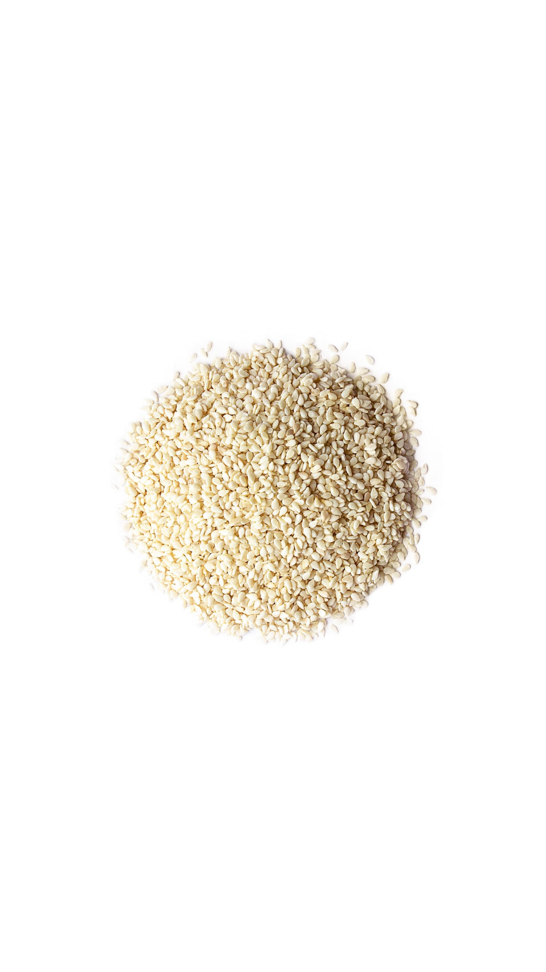 Wijen Putih Panggang / Roasted White Sesame Seed