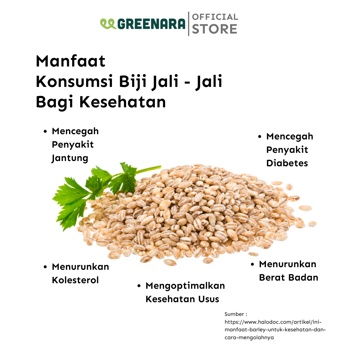 Biji Jali - Jali / Natural Pearl Barley