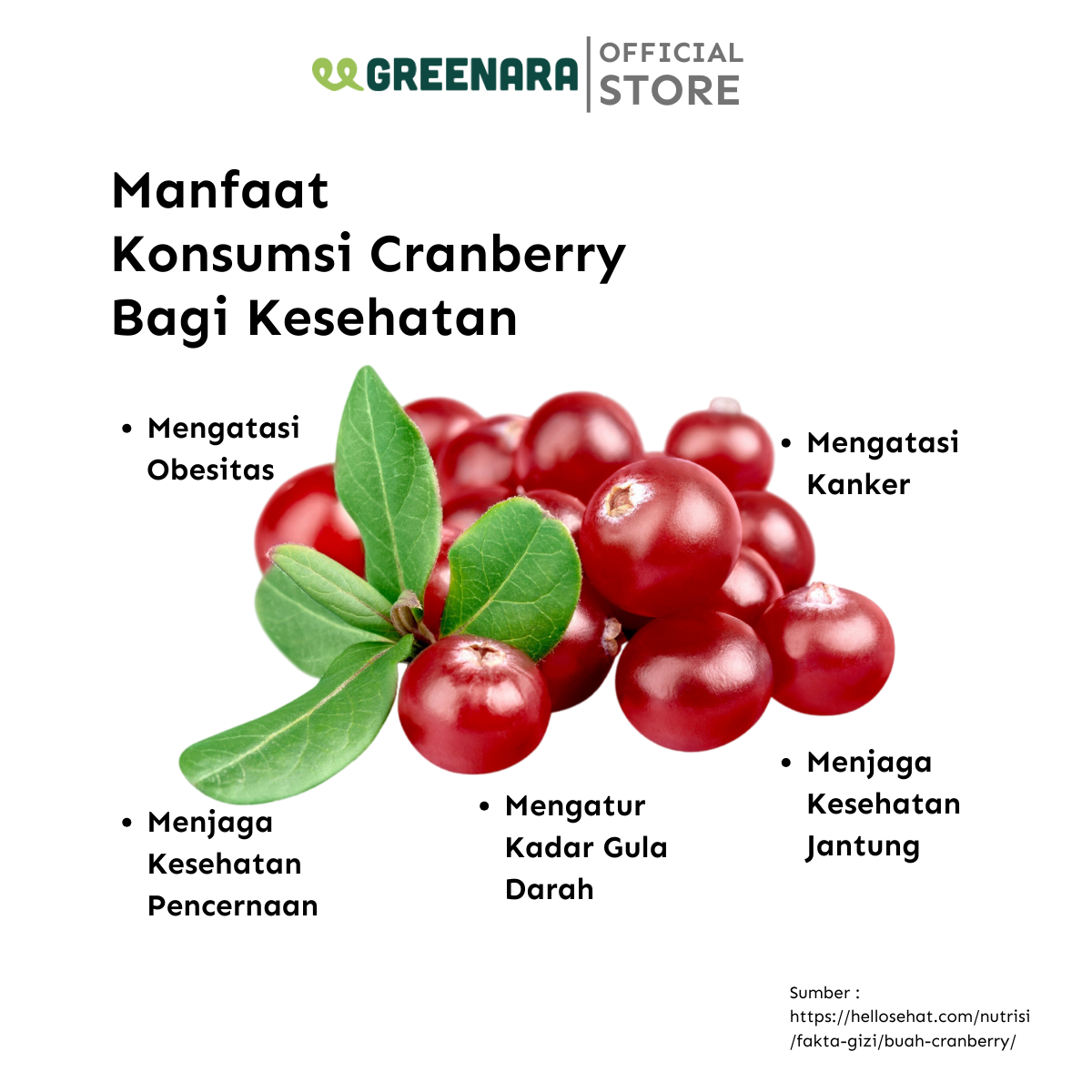 Cranberry Kering / Dried Cranberry