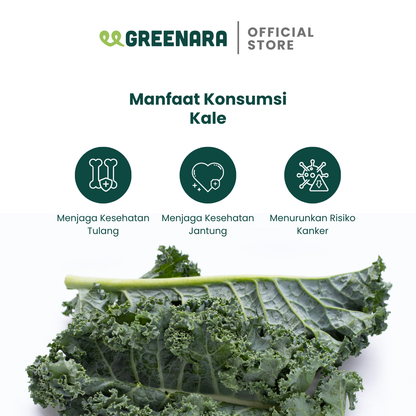 Bubuk Kale / Kale Powder