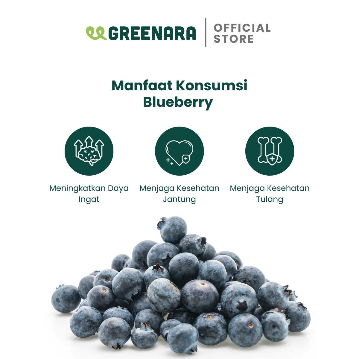 Blueberry Kering / Dried Blueberry