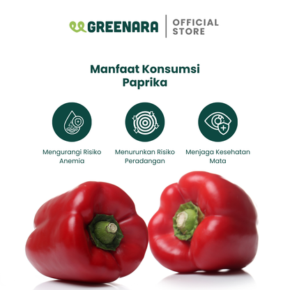 Paprika Bubuk / Ground Paprika