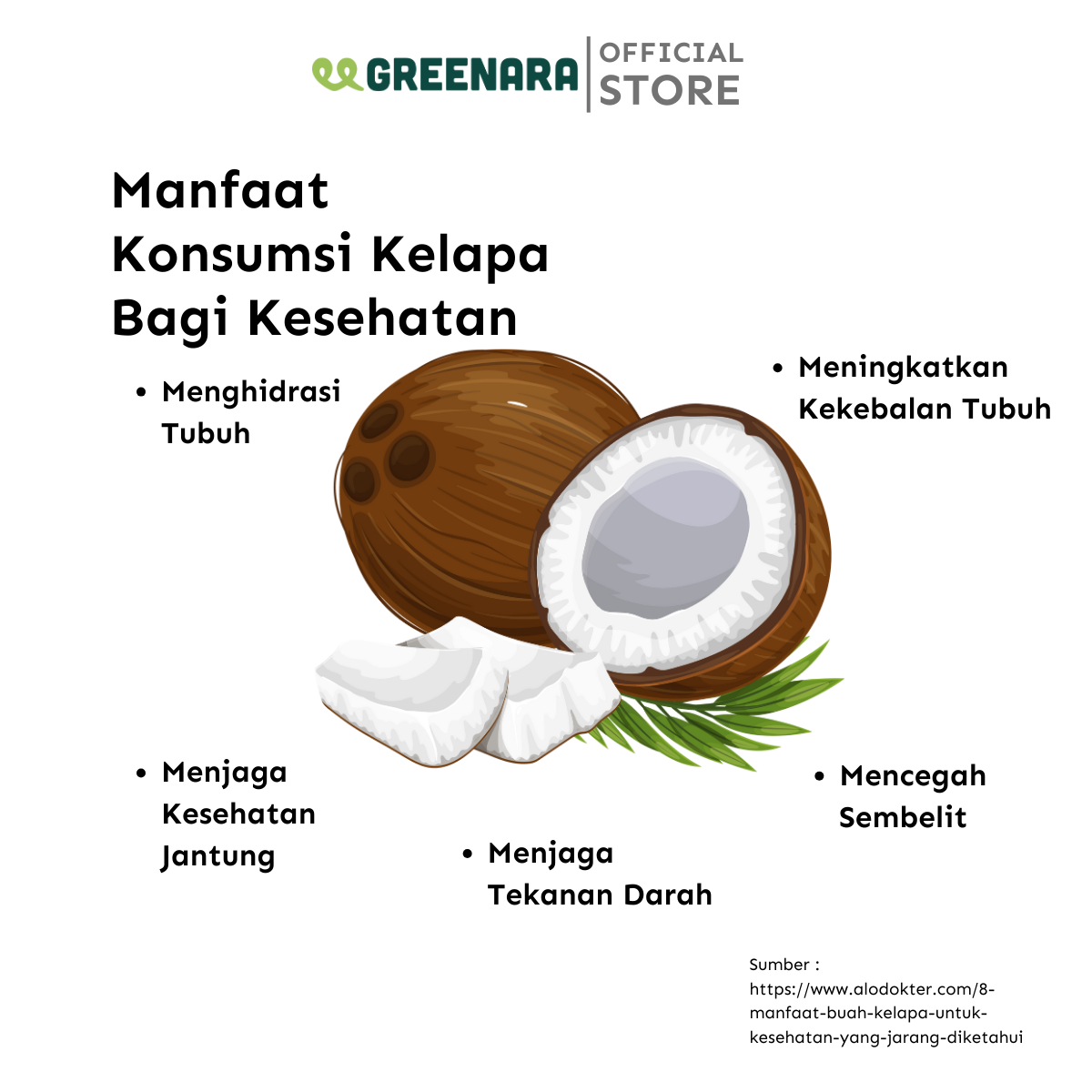 Kelapa Parut Kering / Dessicated Coconut