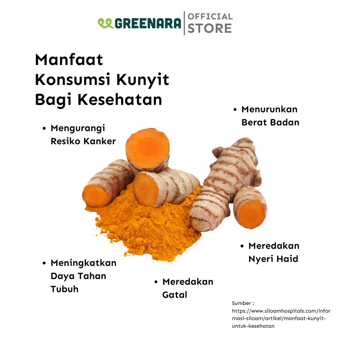 Kunyit Bubuk / Ground Turmeric