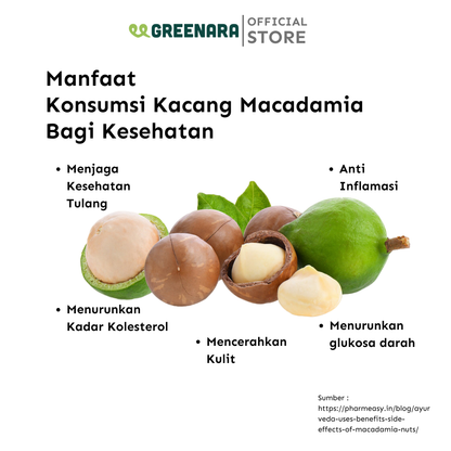 Kacang Macadamia Mentah / Raw Macadamia