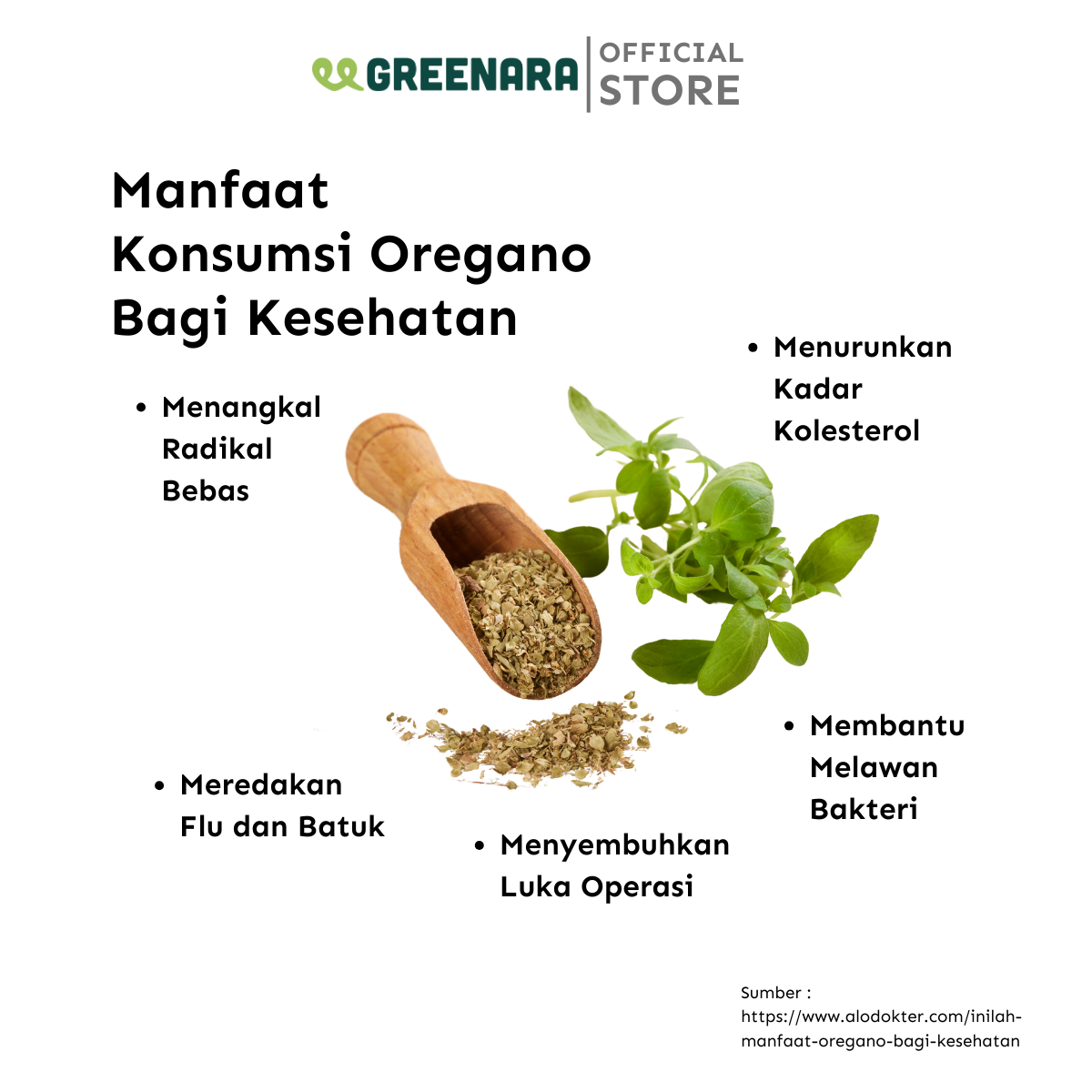 Oregano Kering / Dried Oregano