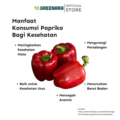 Paprika Bubuk / Ground Paprika