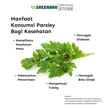 Daun Parsley Kering / Parsley Flakes