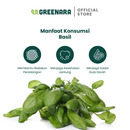 Greenara Daun Basil Kering 100gr