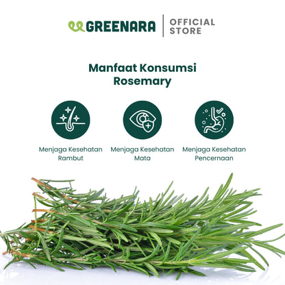 Greenara Daun Rosemary Kering 40gr