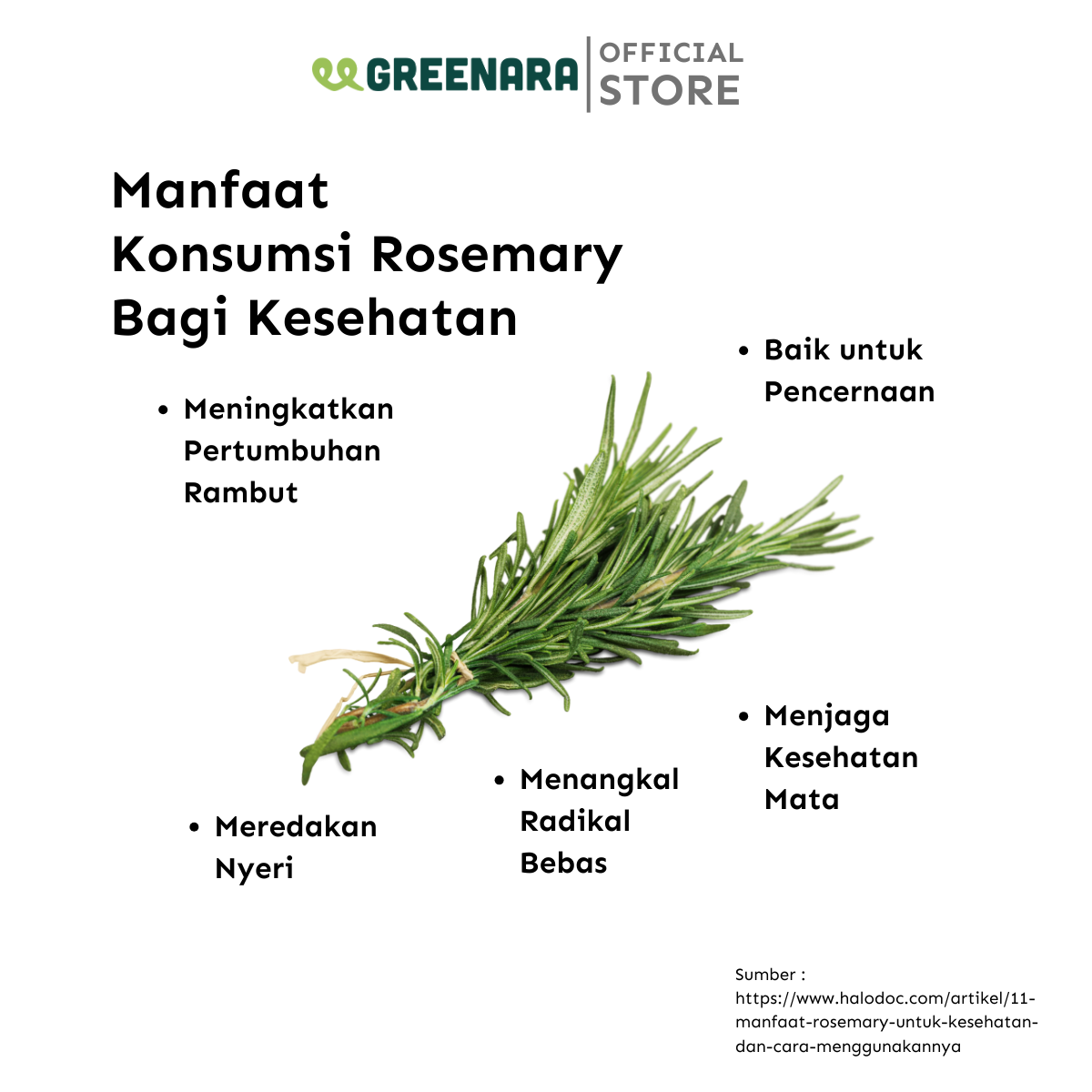 Daun Rosemary Kering / Dried Rosemary Leaves