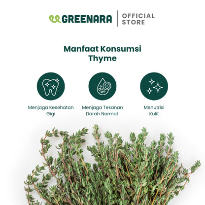 Greenara Daun Thyme Kering 100gr (Saset)