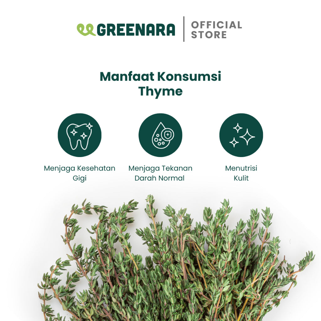 Greenara Dried Thyme Leaves 1Kg / Daun Thyme Kering